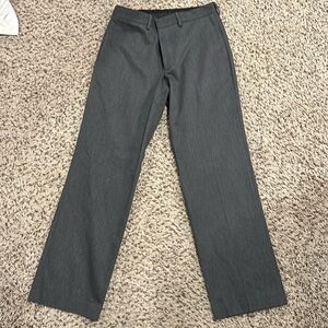 Express Dress Pants